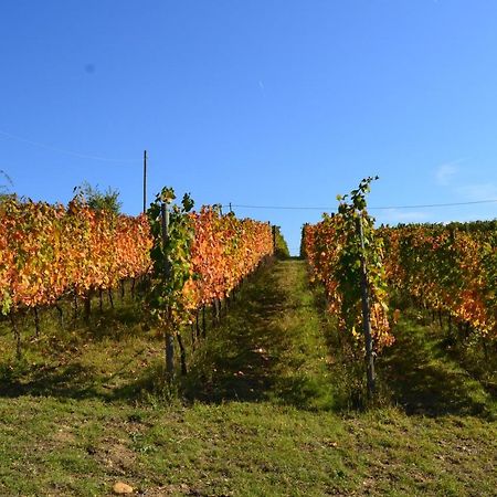 Agriturismo Costa Dei Platani أكوي تيرمي المظهر الخارجي الصورة