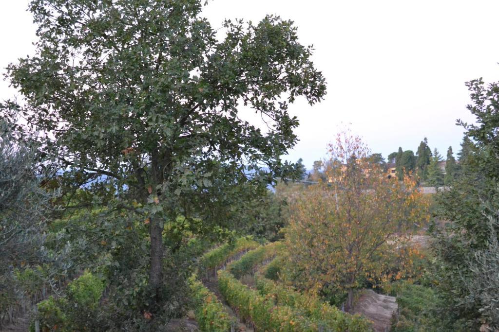 Agriturismo Costa Dei Platani أكوي تيرمي المظهر الخارجي الصورة