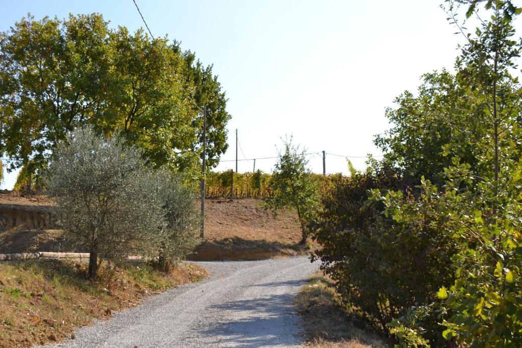 Agriturismo Costa Dei Platani أكوي تيرمي المظهر الخارجي الصورة