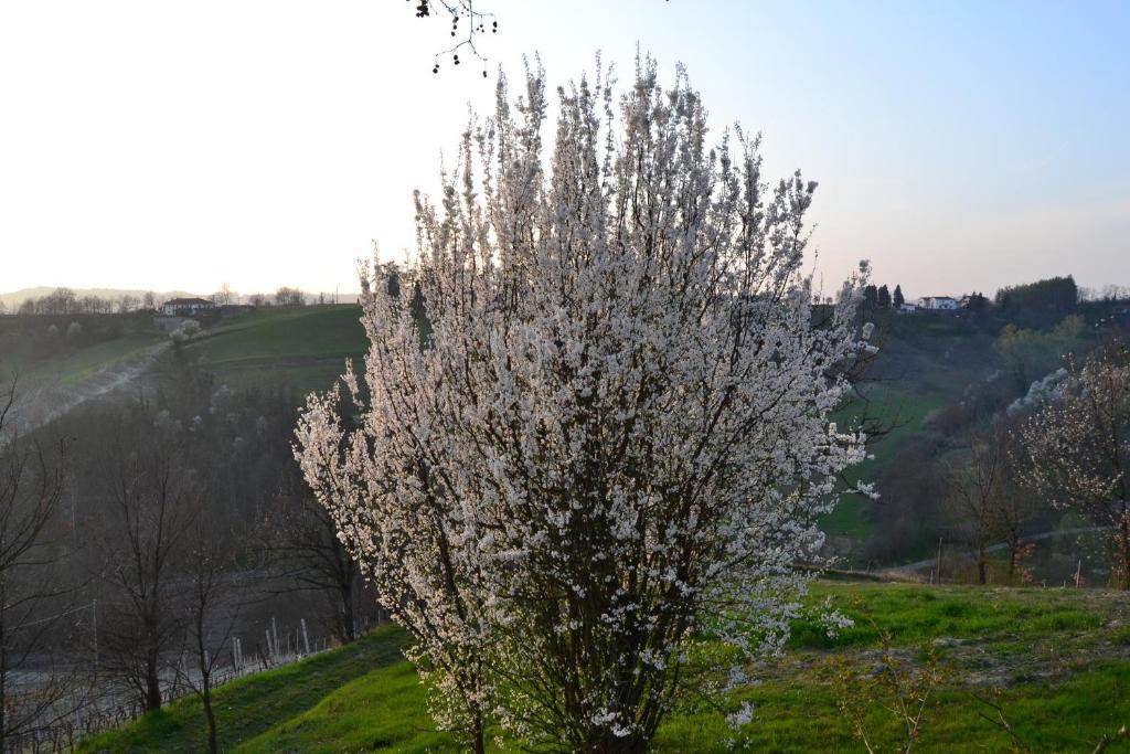 Agriturismo Costa Dei Platani أكوي تيرمي المظهر الخارجي الصورة