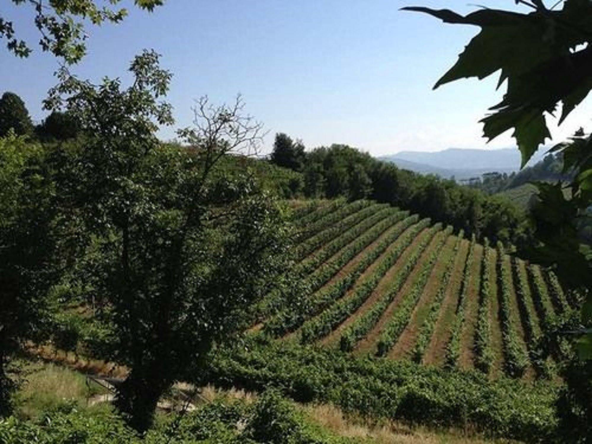 Agriturismo Costa Dei Platani أكوي تيرمي المظهر الخارجي الصورة