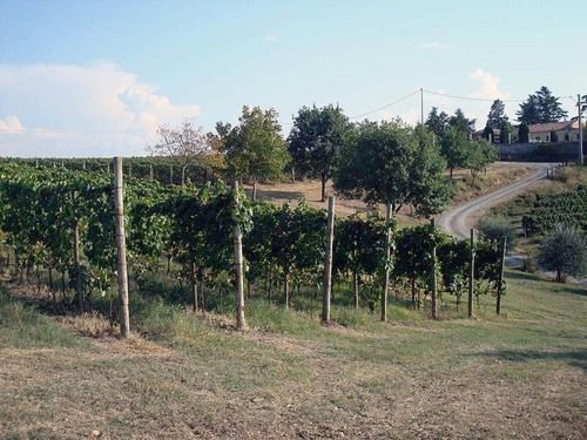 Agriturismo Costa Dei Platani أكوي تيرمي المظهر الخارجي الصورة