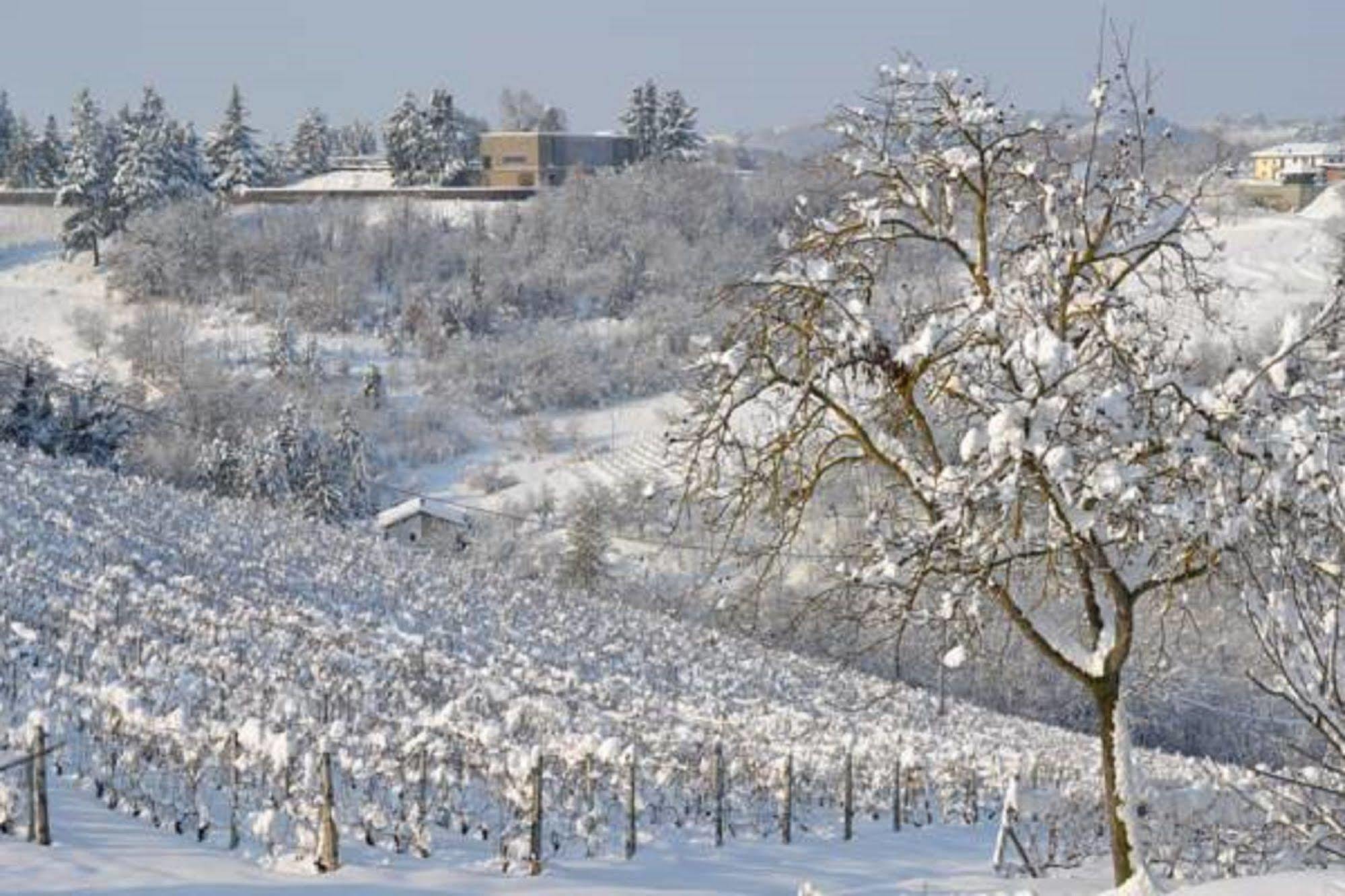 Agriturismo Costa Dei Platani أكوي تيرمي المظهر الخارجي الصورة