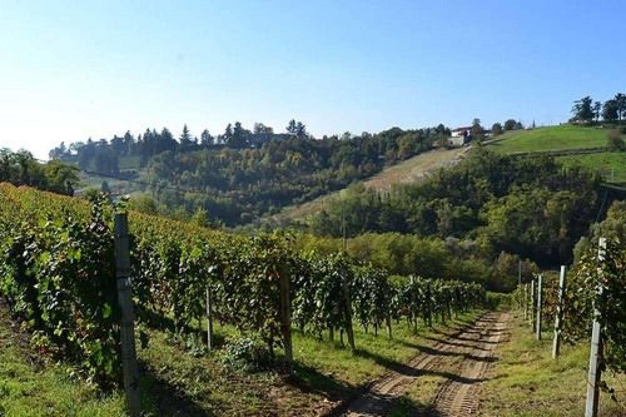 Agriturismo Costa Dei Platani أكوي تيرمي المظهر الخارجي الصورة